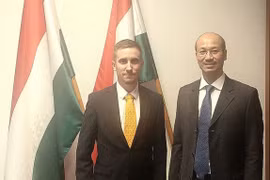 越南驻匈牙利大使裴黎泰和匈牙利外交与对外经济部副国务秘书斯蒂夫特·亚当。图自VOV