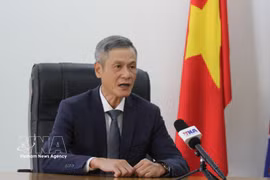 越南驻柬埔寨特命全权大使阮明羽接受越通社采访。图自越通社