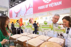 参展的越南商品。图自越通社