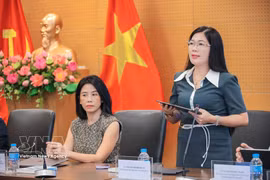 创新与数字化转型研究院院长阮氏碧兰发表讲话。图自越通社