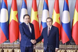 越南国会主席陈青敏会见老挝国会主席赛宋蓬·丰威汉。图自越通社