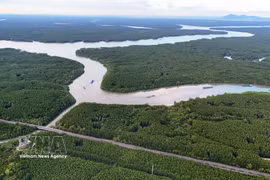 滨城-芹耶地铁线路将沿着红树林（rừng Sác）路延伸，为芹耶地区的绿色转型奠定基础。图自越通社 
