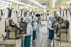 附图。图自越通社