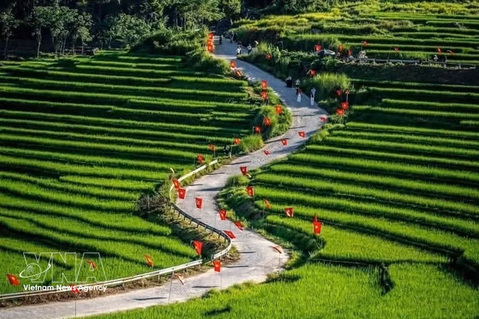 9·2国庆假期，浦良生态旅游区一条道路上插满金星红旗吸引游客前来打卡。图自越通社