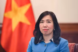 越南外交部副部长黎氏秋姮。图自互联网