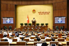 越南最高人民检察院检察长阮辉进就国徽代表提出的问题进行进一步说明和厘清。图自越通社