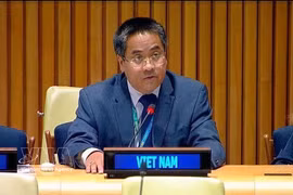 越南常驻联合国代表团副团长阮海流公使。图自越通社