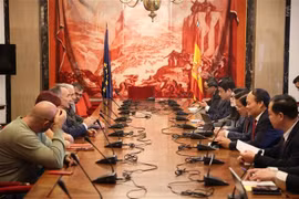 越南共产党代表团与西班牙共产党总书记和领导班子举行工作会谈。图自越通社