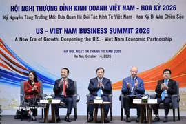 第九届越南—美国商业峰会参会代表。图自越通社