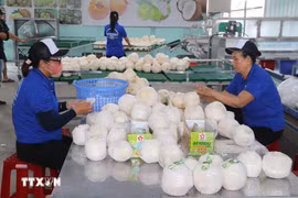 附图。图自越通社