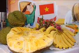 资料图。图自越通社