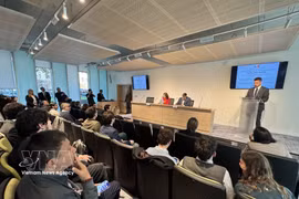 双边关系座谈会现场。图自越通社