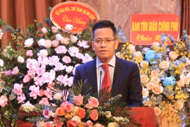 越南文化体育与旅游部《文化艺术杂志》总编辑黄河。图自越通社