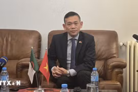 越南驻阿大使陈国庆。图自越通社
