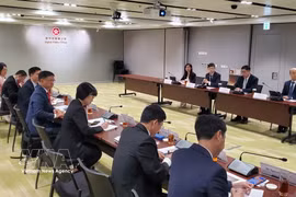 胡志明市代表团与香港特别行政区数字政策办公室举行工作会谈。图自越通社