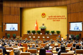 越南第十六届国会第一次非常规会议开幕式现场。图自越通社