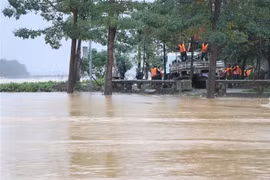 强降雨导致香江和蒲江洪水继续迅速上涨。图自越通社