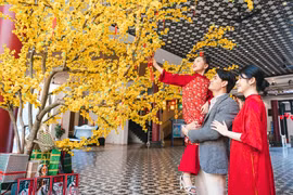 2026 岘港新年庆典打造城市年度最大文化娱乐盛宴。岘港市文化体育与旅游厅供图