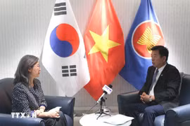 越南驻韩国大使武湖接受越通社记者采访。图自越通社