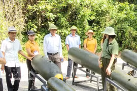 游客参观“传奇长山小道——指挥洞” 生态旅游区各种炸弹外壳展区。图自越通社
