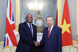 越共中央总书记苏林会见英国副首相戴维·拉米。图自越通社