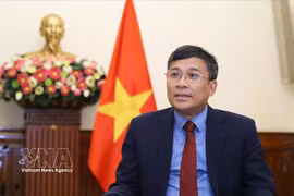 越共中央委员、外交部党委副书记兼副外长阮明羽。图自越通社