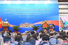 越南工贸部副部长阮生日新在会议发言。图自moit.gov.vn