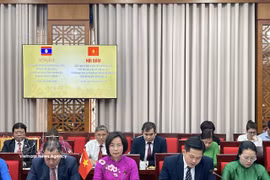 河内市祖国阵线委员会主席裴玄梅发表讲话。图自越通社