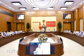 第十五届国会常务委员会第46次会议.图自越通社