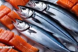 资料图。图自越通社