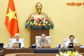 越南国会主席陈青敏在会上发言。图自越通社