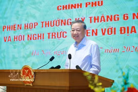 越共中央总书记、国家主席苏林在会上发表指导性讲话。图自越通社