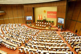 深入学习贯彻越共中央政治局关于实施越共十四大对外路线决议会议。图自越通社