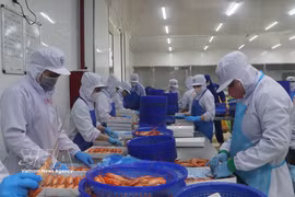 出口罗氏沼虾的加工活动。图自越通社