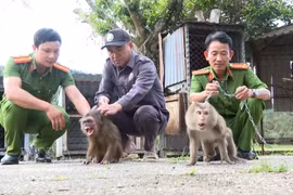 职能力量接收由人民移交的猴子。图自越通社
