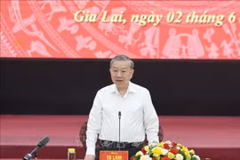 越共中央总书记苏林发表讲话。图自越通社