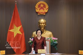 越共中央书记处书记、政府副总理、国家老年人委员会主席范氏清茶主持会议。图自越通社