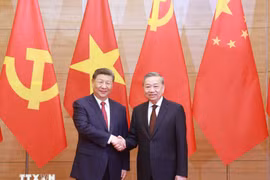 越共中央总书记苏林与中共中央总书记、国家主席习近平。图自越通社