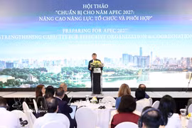 越南外交部常务副部长阮明羽在研讨会上致开幕词。图自越通社