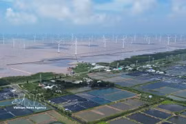 金瓯省东海乡海上风电项目。图自越通社