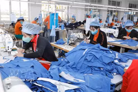 资料图。图自越通社
