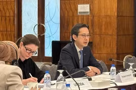 越南常驻联合国代表团团长、2026年《不扩散核武器条约》审议会议指定主席杜雄越大使主持磋商会。图自越通社