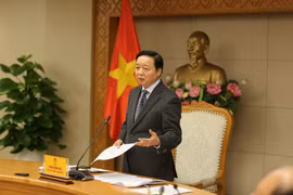 陈红河副总理在会上发表讲话。图自越通社