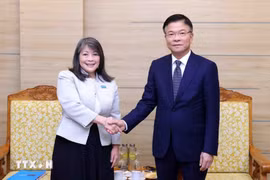 越南政府副总理黎成龙会见联合国儿童基金会东亚及太平洋地区主任攻刀纯子。图自越通社