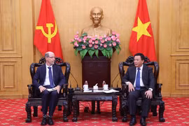 胡志明国家政治学院院长阮春胜教授会见谷歌负责政府事务与公共政策的副总裁多伦·阿夫宁。图自越通社