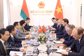 越南外交部长黎怀忠与白俄罗斯外交部长雷任科夫举行会谈。图自越通社