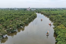 游客乘船参观同敏生态旅游区。图自thanhha.haiphong.gov.vn