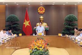 越南政府副总理黎进珠主持召开规范性法律文件全面核查工作情况会议。图自越通社