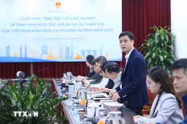 越南外交部副部长、越南东盟高官会（SOM）主席邓黄江发表讲话。图自越通社