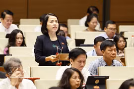 宣光省国会代表发表讲话。图自越通社